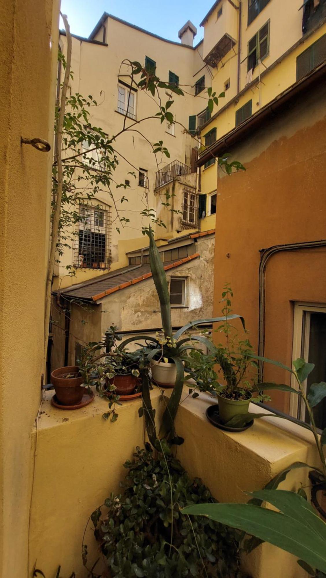 L'Angolo Verde In San Luca Génova Exterior foto